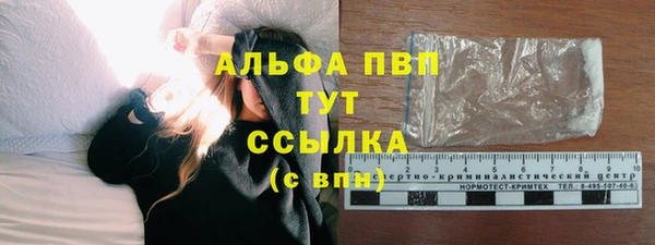 тгк Белокуриха
