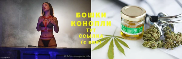 гидропоника Белоозёрский