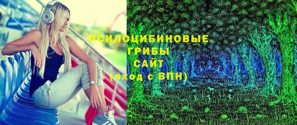 2c-b Сосновка