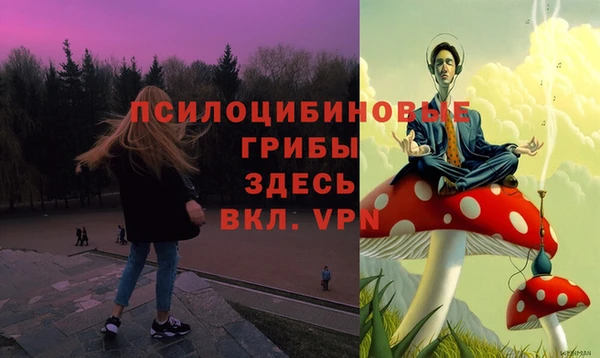 дмт Беломорск