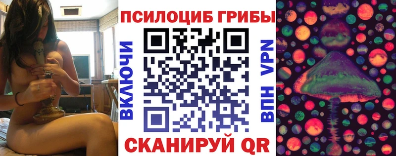 Псилоцибиновые грибы мухоморы OMG маркетплейс Нестеров дарк нет официальный сайт купить закладку